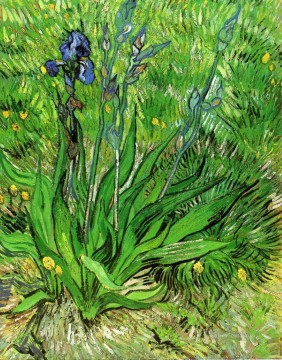 The Iris Vincent van Gogh Oil Paintings